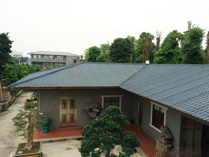 農村自建房蓋合成樹脂瓦,美得不要不要的!
