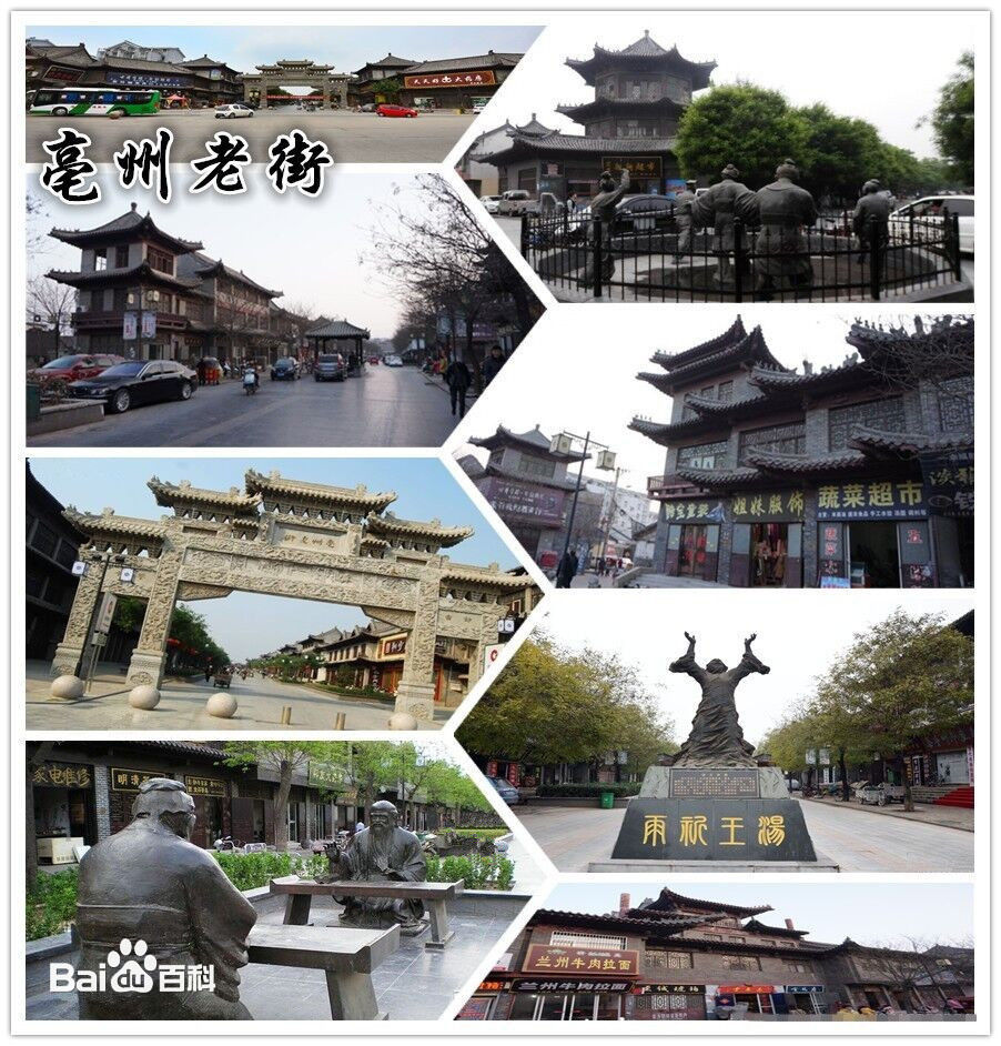 亳州樹脂瓦廠家直銷